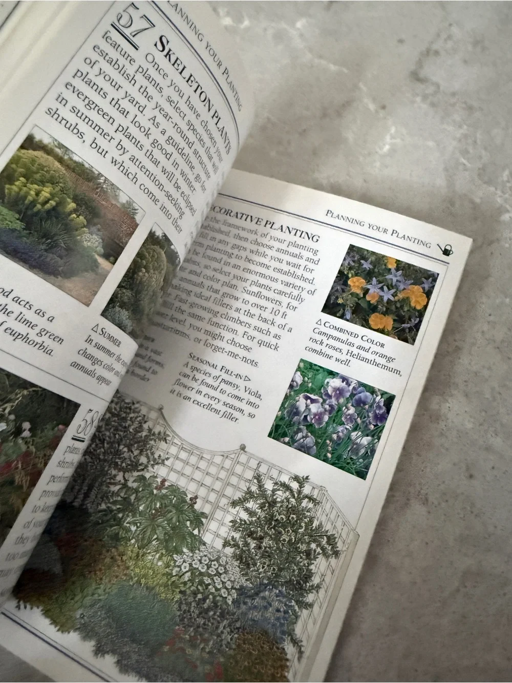 First edition 101 Essential Tips Planning a Small Yard - Green gardening book